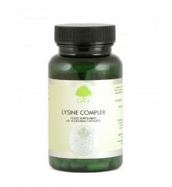 Lizin komplex C-vitaminnal és cinkkel 60 kapszula (G&G)